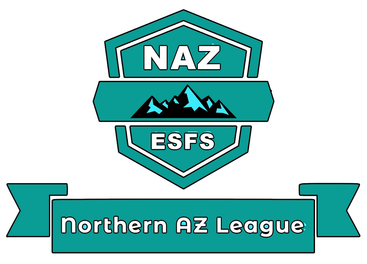 Original Northern Softball League logo vintage design